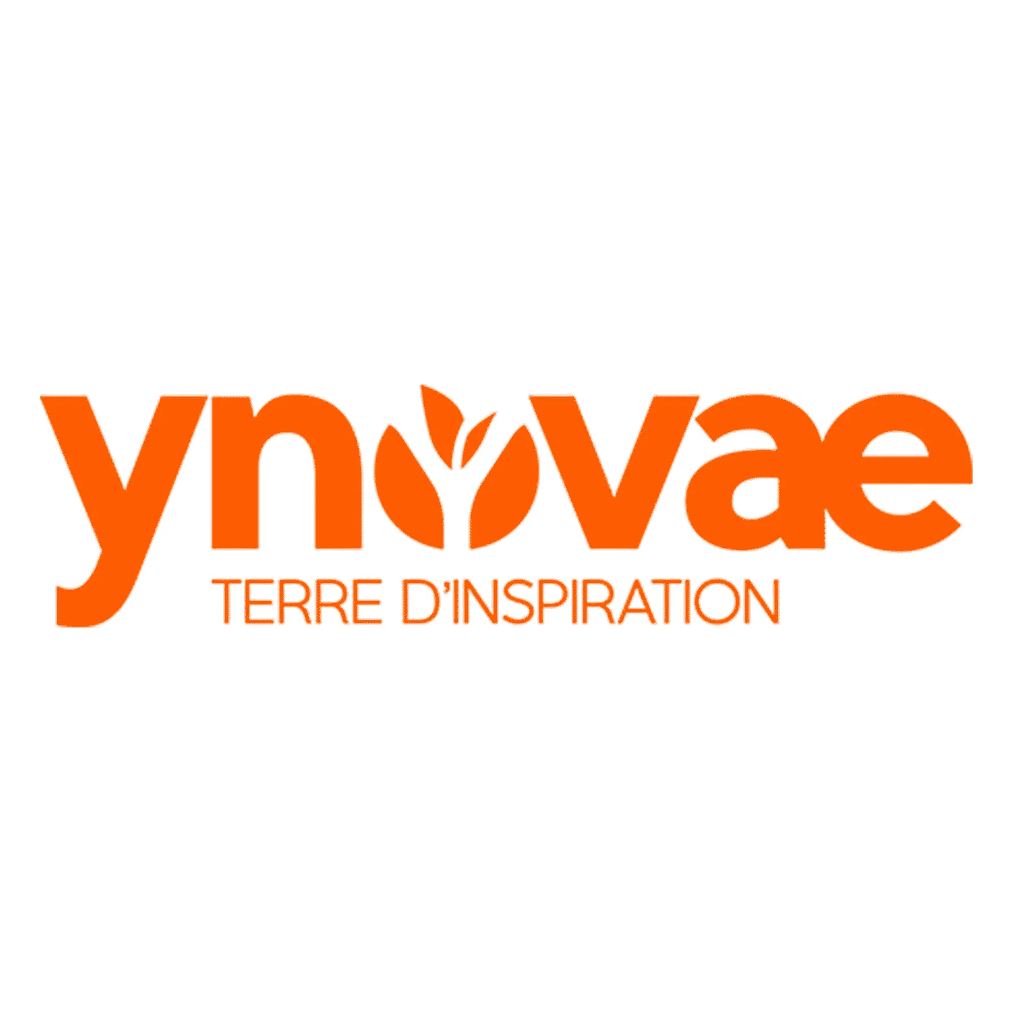 ynovea-carre logo